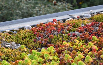 the cost of Starbotton green roof installation