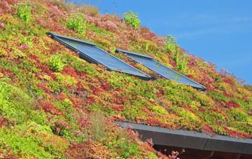 Starbotton living roof systems