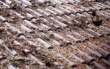 Starbotton roof cleaning companies