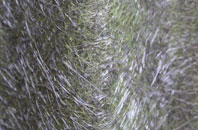 Starbotton fibreglass roof work